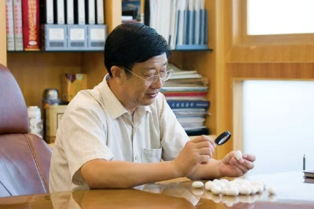 “一根丝拉动万民富”——江苏省富安茧丝绸股份有限公司